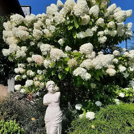 Rum i privatbostad Pension-jakobs Nachtsheim