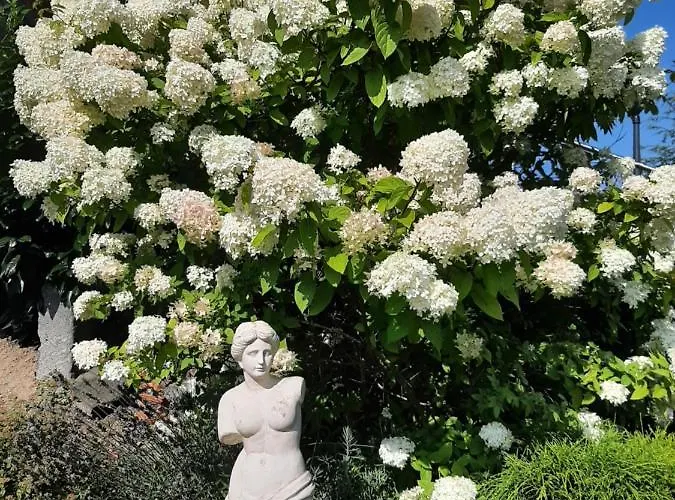 בית אירוח Pension-jakobs Nachtsheim