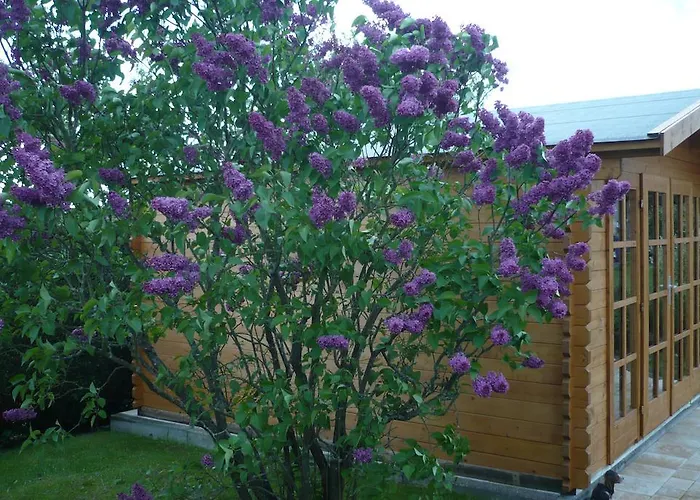 Pension-jakobs Pansiyon